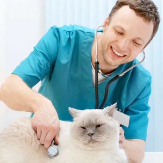 Dr Valentin DORTE